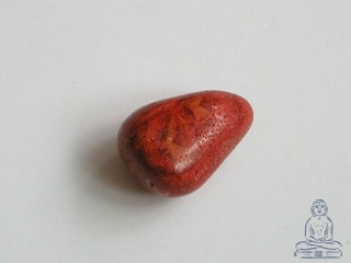 Korl erven
