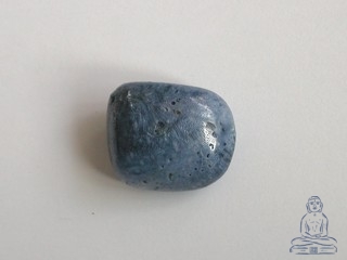 Korl modr