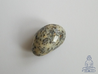 Opl dendritick